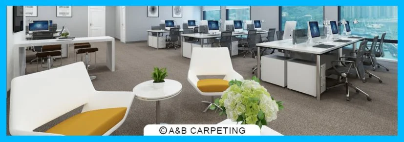 Professional Commercial Carpet Cleaning Process